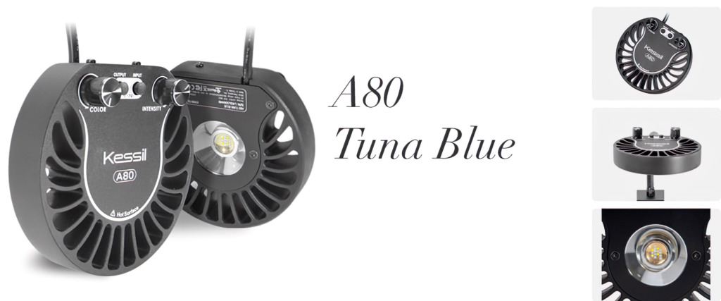 A80 Tuna Blue - Kessil